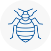 Bed Bug Extermination In Manchester